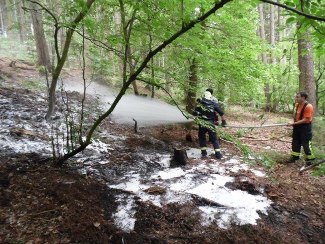 Waldbrand