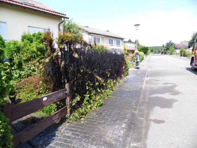 Heckenbrand