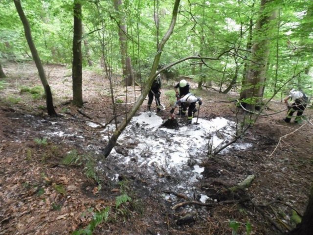 Waldbrand