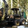 Brennt Holzerntemaschine